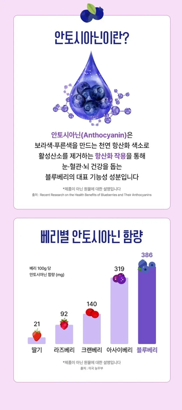 네세서리 블루베리퓨레 100 (20g*14포)