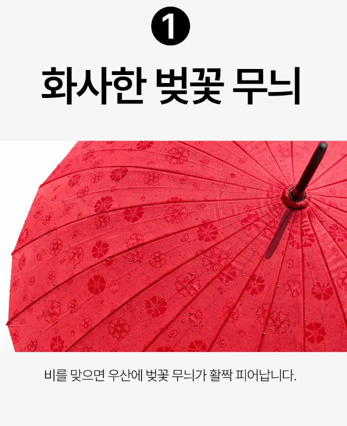 비오면 꽃이 피는 벚꽃 레인보우 고급 장우산