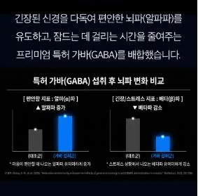 비타민마을 식물성 멜라토닌 5mg 함유 이지나이트 트리플 컴플렉스 30정 (1개월분)