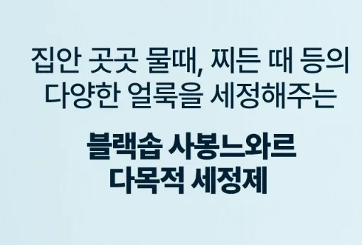 브리오신 사봉느와르 다목적세정제 레몬향 750ml