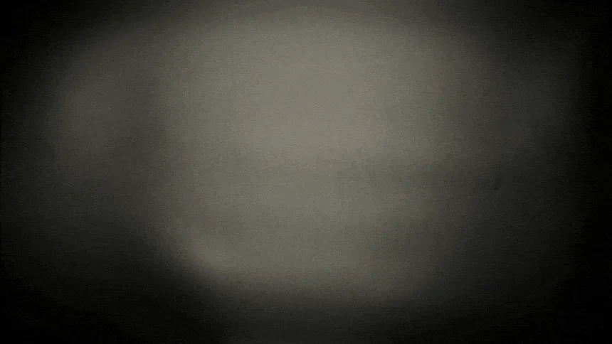 조이쥴리 24kgold  갈바닉 뷰티 디바이스 세트