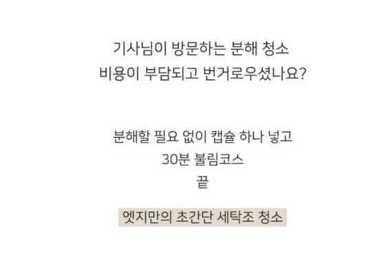 엣지라인 캡슐 세탁조 클리너