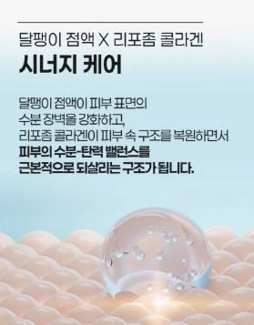 펠로디 리포좀 콜라겐 달팽이 수분 크림 300MG