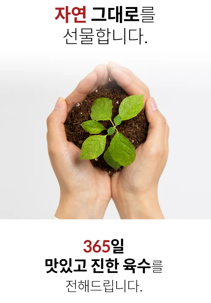 365동전육수 칼칼야채맛/진한대게맛 20정