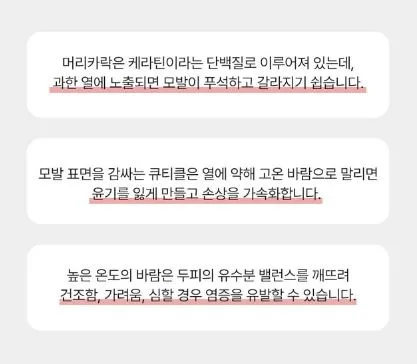 벤하임 BLDC 파워 드라이어 004DBK