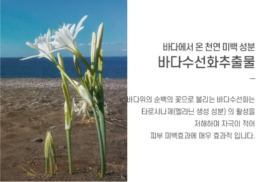 상품코드 : BMS001 [블루밍셀] 트라믹스 미백앰플 30ml