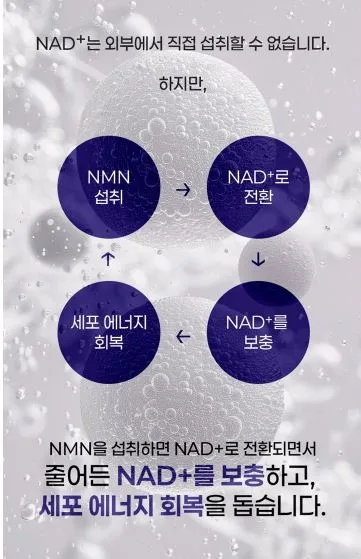 쁘띠 엔엠엔C 이너뷰티 NMN
