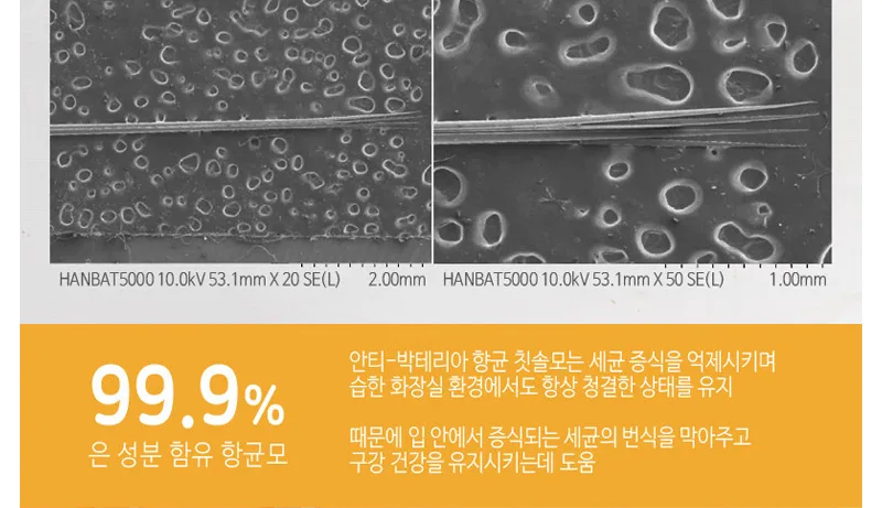 상품코드 : WC025 켄트 치약2개+여행용키트(치약2+칫솔)