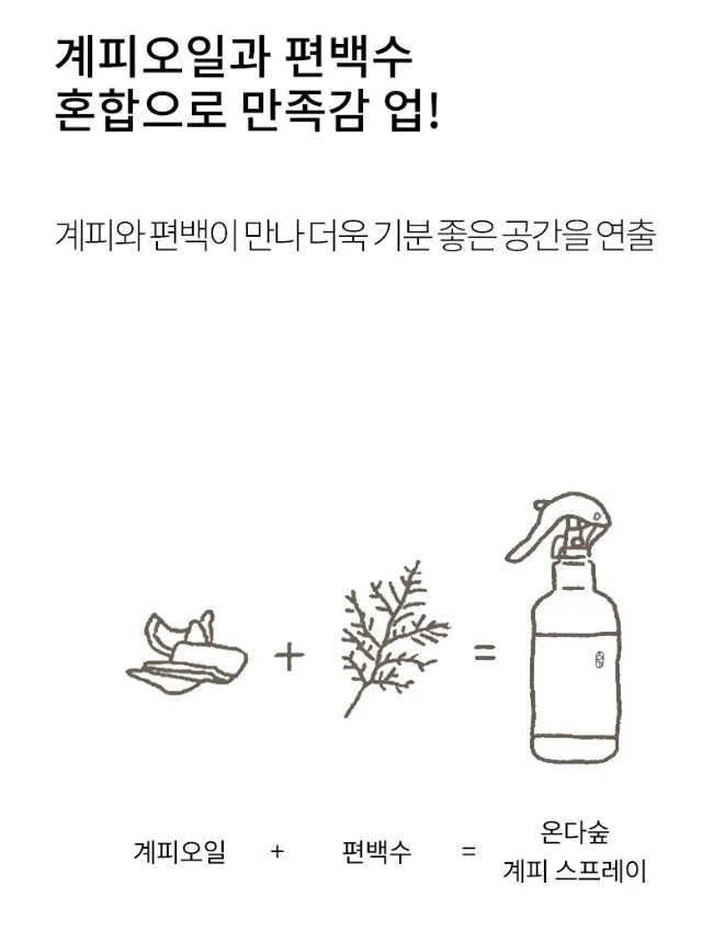 온다숲 계피스프레이 탈취제 250ml