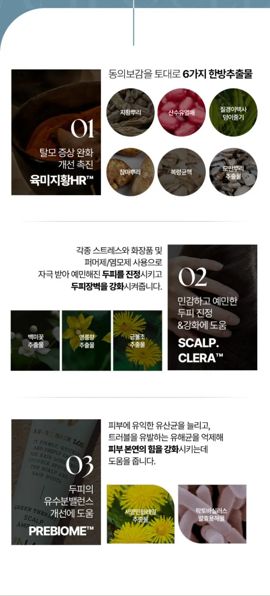 상품코드 : DNP001 [더나플러스] 그린테라피 탈모앰플 두피 쿨링 케어 두피앰플 12ml