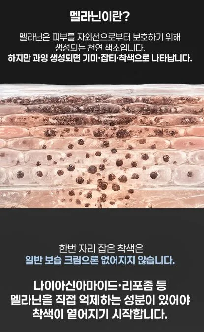 펠로디 리포좀 기미 잡티 흔적 완화 착색 뽀야케 크림 미백 화이트닝 톤업 300MG