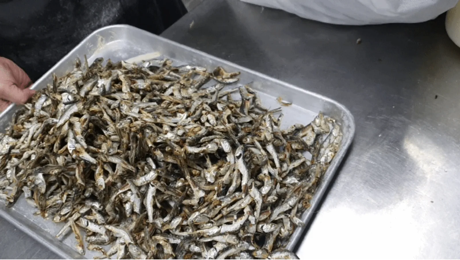 상품코드 : IC004 칼칼한 진한 국물 맛 일산칼국수 얼큰 수제비