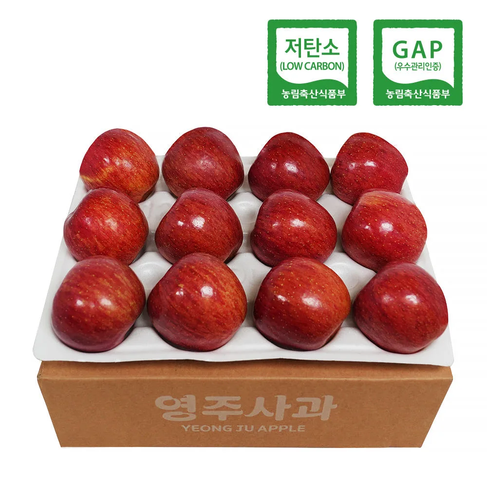 저탄소 GAP인증 영주 부사 실속형 3kg (12과 내외)