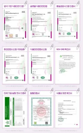 비타민마을 더블유 이너케어 여성유산균 30포
