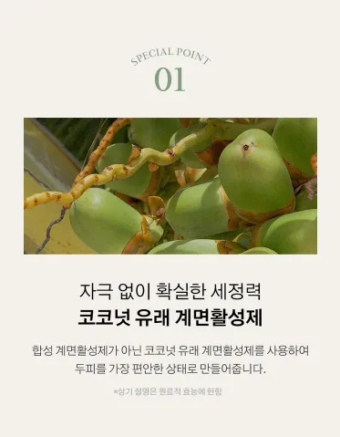 상품코드 : K628 어성초 40 약산성 딥 클렌징 두피케어 샴푸 (카톤발주용)