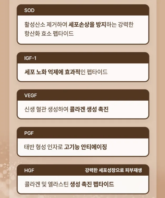 사빈 녹는실 가득 실크 펩타이드 리프팅 앰플 100ml