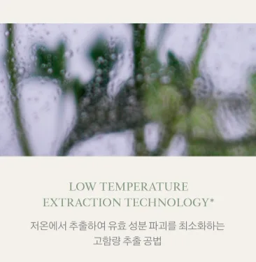 상품코드 : K628 어성초 40 약산성 딥 클렌징 두피케어 샴푸 (카톤발주용)