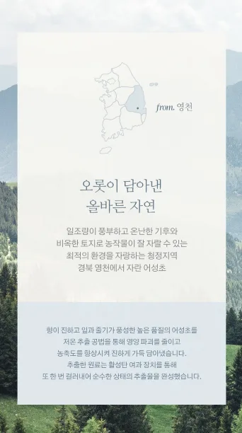상품코드 : K629 어성초 40 약산성 모이스처 바디워시 (카톤발주용)