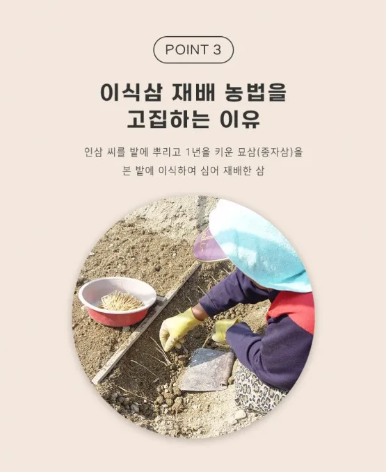 상품코드 : KJH006 [김정환홍삼] 홍삼 더플러스 20포 (보자기 포장)