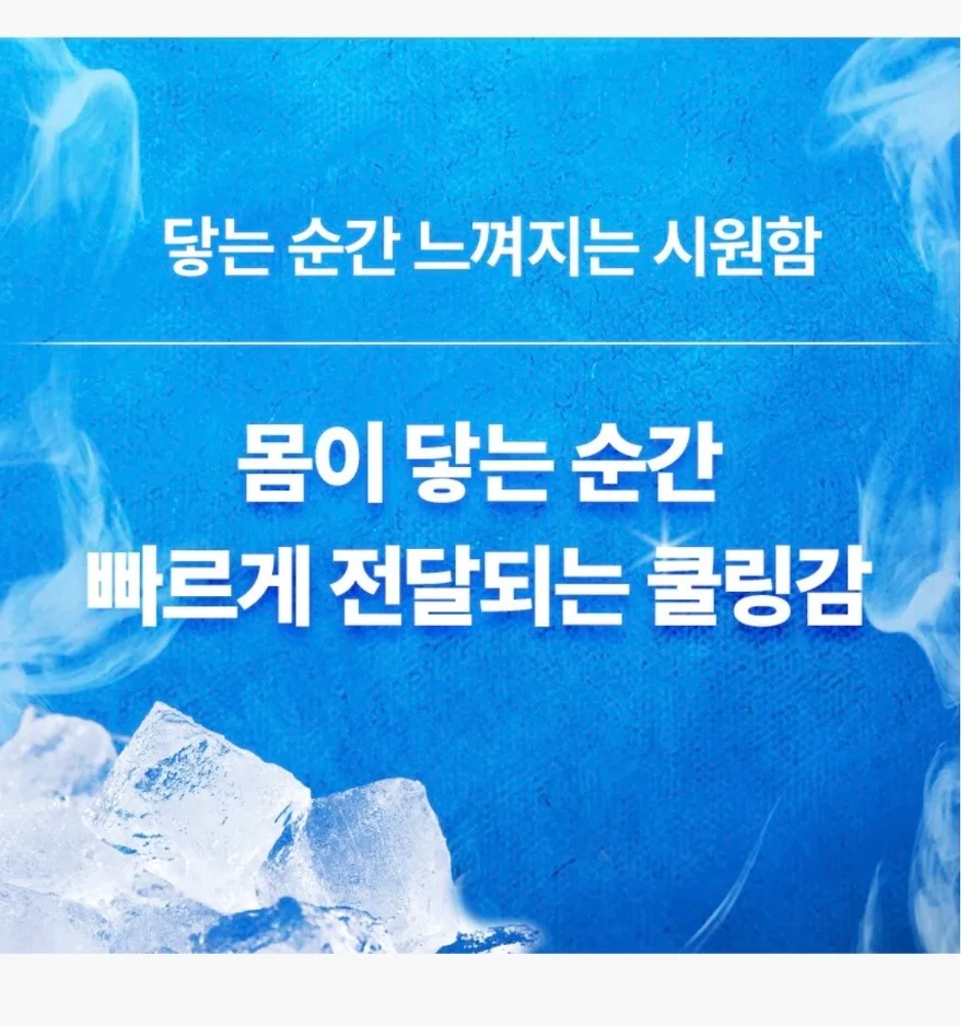 [플래비안] 아이스쿨 냉감패드 S/Q/LK