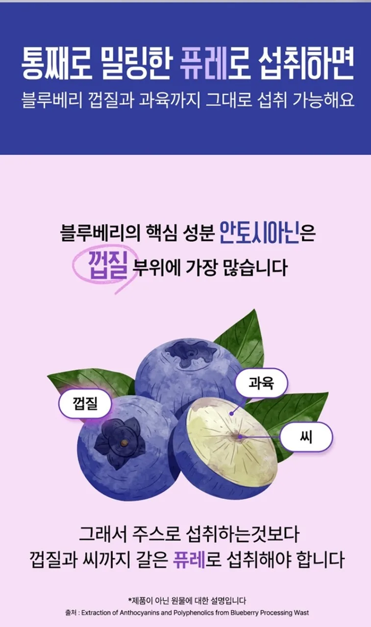 네세서리 블루베리퓨레 100 (20g*14포)