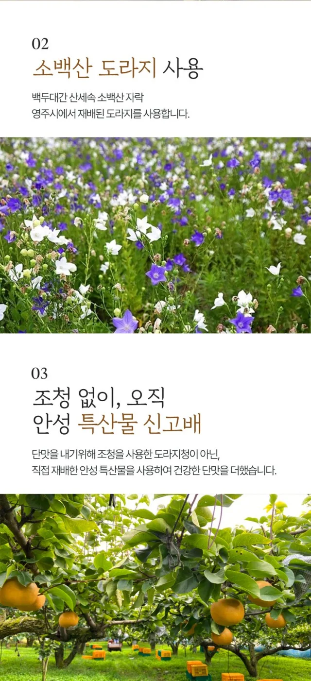 상품코드 : TK008 [청숨] 청숨 유산균 발효 약도라지 농축액 10p