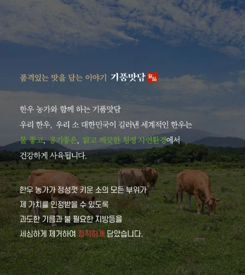 상품코드 : H3924 [기품맛담] 한우 1++ 프리미엄 양념불고기 선물세트 600g