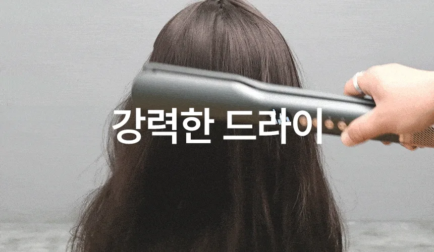 AUTONIT 오토닛 2IN1 프리미엄 BLDC 에어스트레이트너 BY-8501