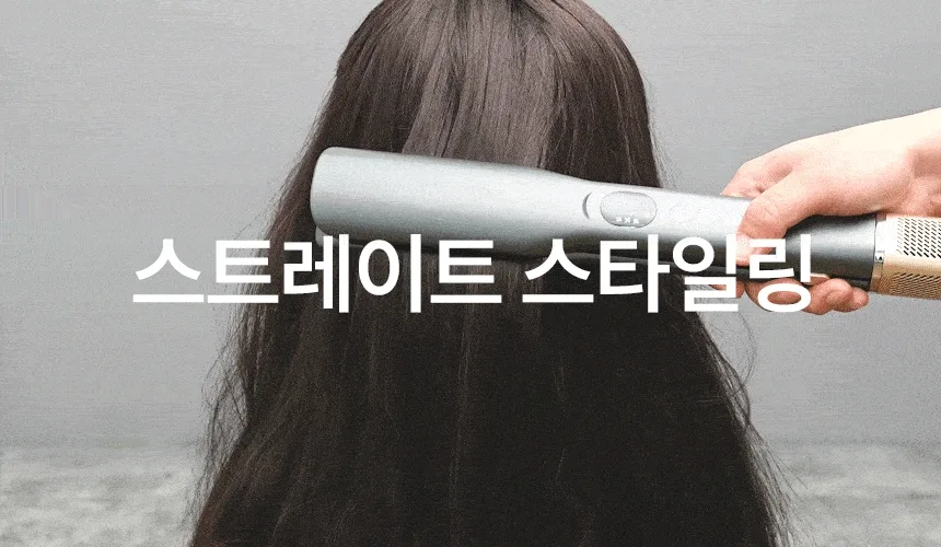 AUTONIT 오토닛 2IN1 프리미엄 BLDC 에어스트레이트너 BY-8501