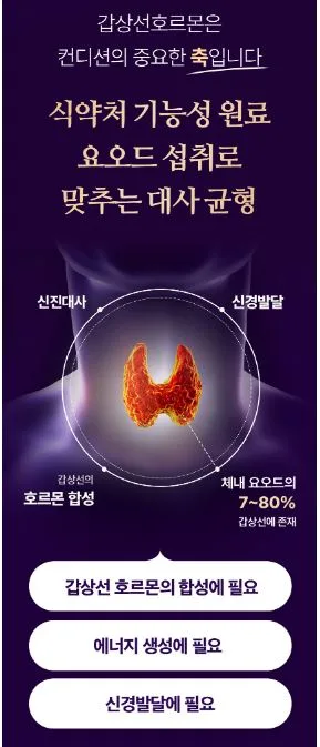 비타민마을 요오드 2400 아연 셀렌 밸런스 영양제 250mg X 90정(3개월분)