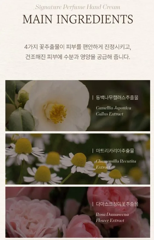 폴메디슨 시그니처 퍼퓸 핸드크림 70ml