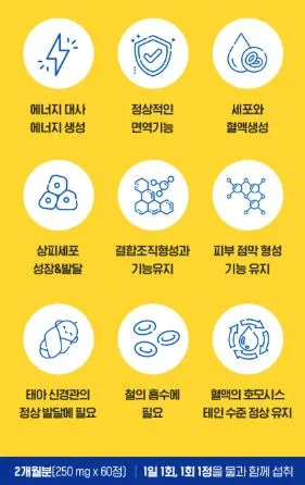 비타민마을 데일리 멀티비타민 미네랄 60정 (2개월분)