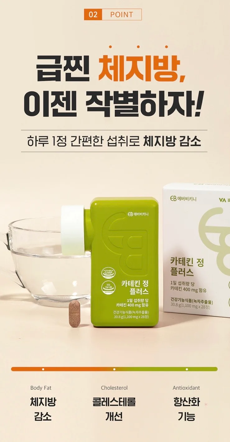 카테킨 정 플러스 1100mgX28정