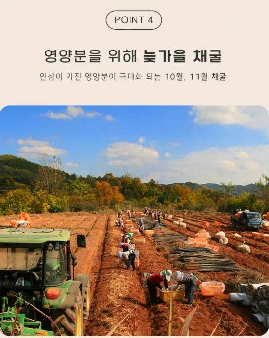 상품코드 : KJH006 [김정환홍삼] 홍삼 더플러스 20포 (보자기 포장)