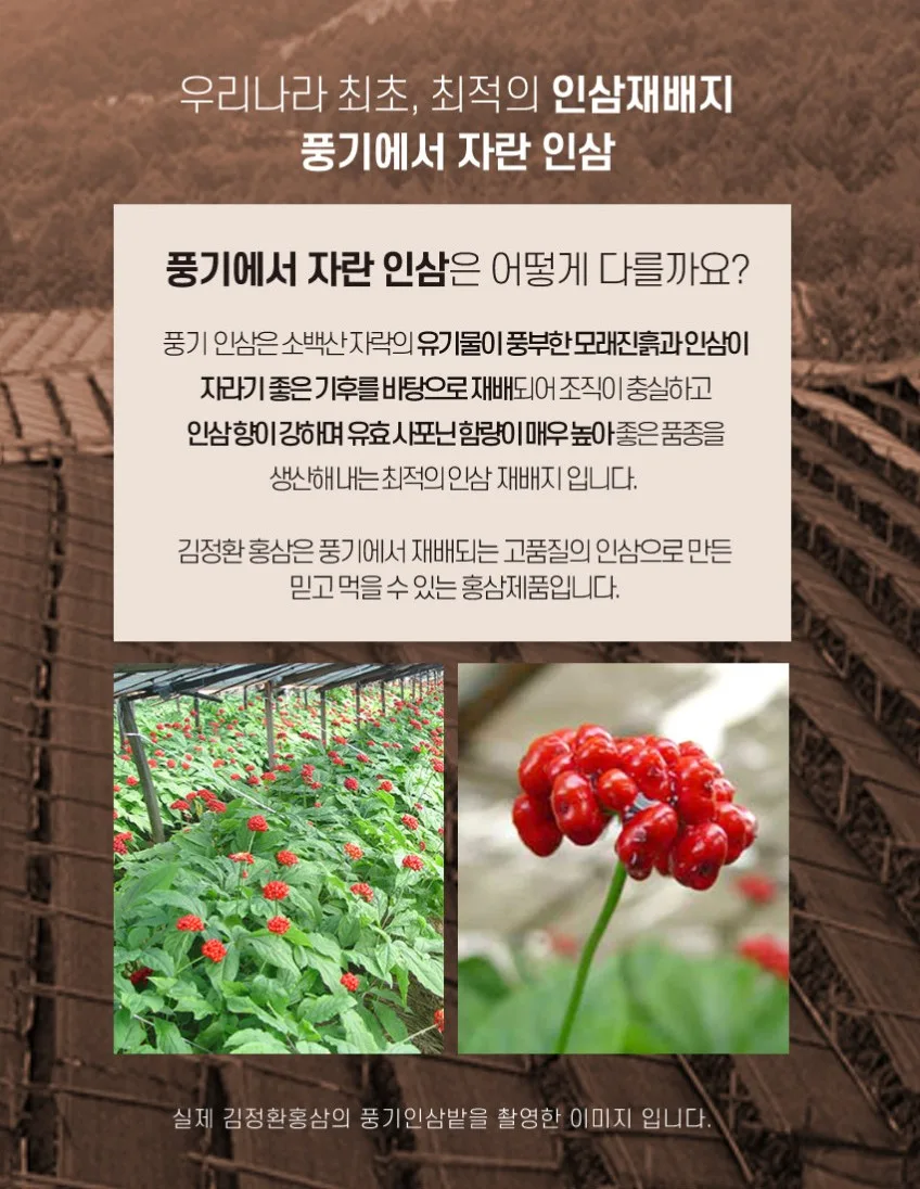 상품코드 : KJH004 김정환 홍삼 젤리 500g