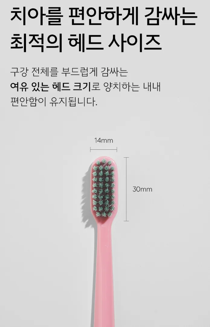 초미세모 칫솔 12EA