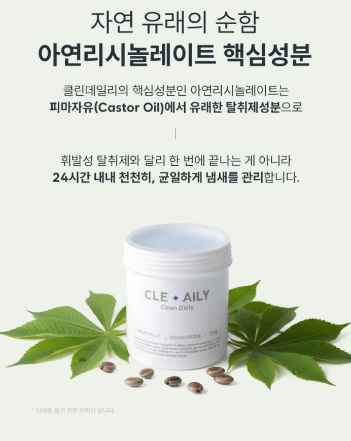 클린데일리 냄새싹흡착 탈취제 자몽향 250g