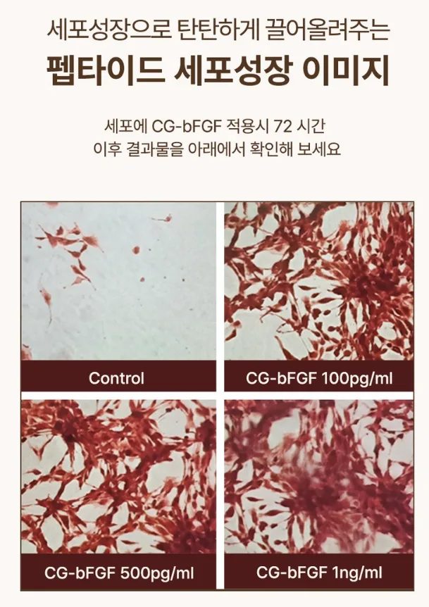 사빈 녹는실 가득 실크 펩타이드 리프팅 앰플 100ml