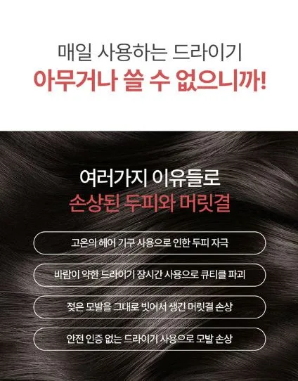 벤하임 BLDC 파워 드라이어 004DBK