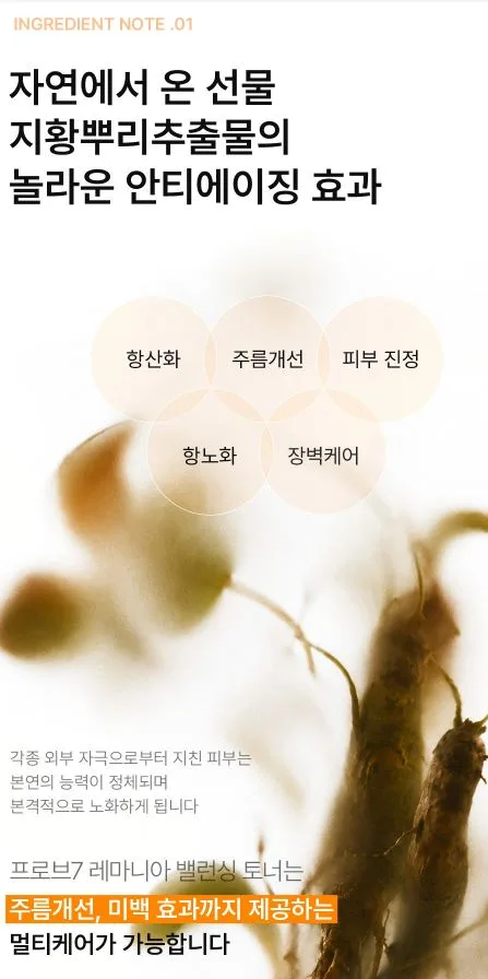 PROVE7 레마니아 밸런싱 토너 200ml