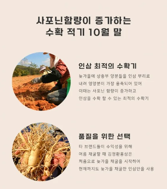 상품코드 : KJH006 [김정환홍삼] 홍삼 더플러스 20포 (보자기 포장)