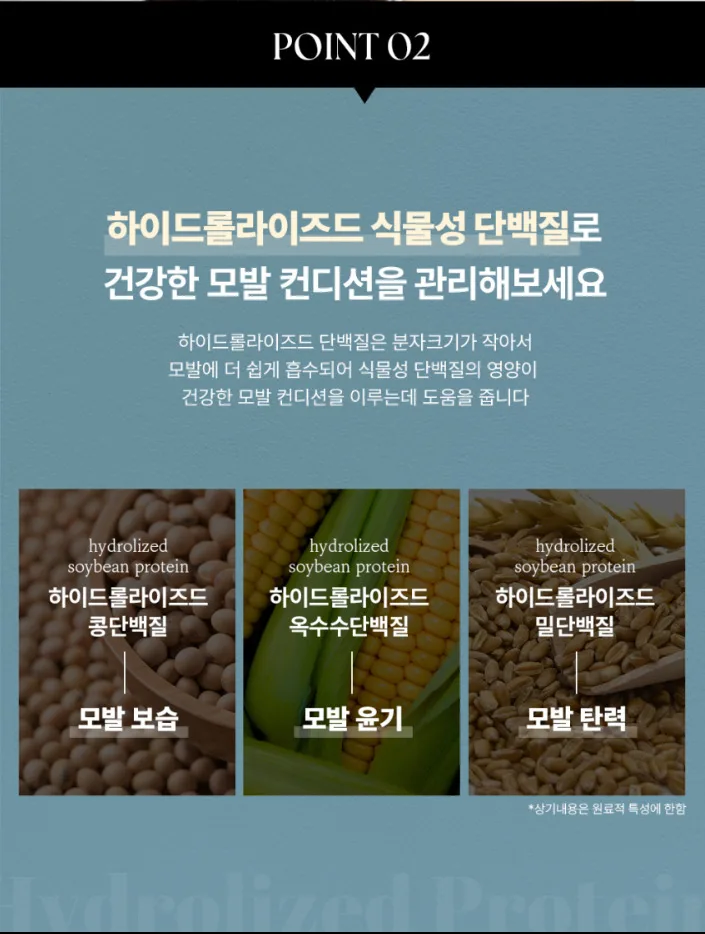 상품코드 : DNP004 [더나플러스] 맥주효모 단백질 샴푸 500ml 모발 두피 영양 탄력 케어