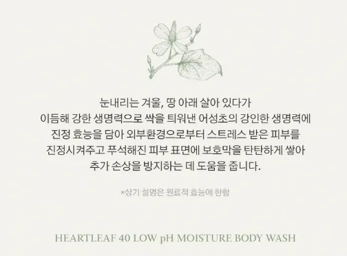 상품코드 : K629 어성초 40 약산성 모이스처 바디워시 (카톤발주용)