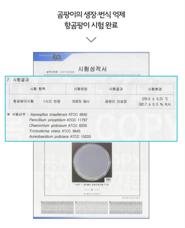 청소연구소 청소전문가 곰팡이 제거젤 200g