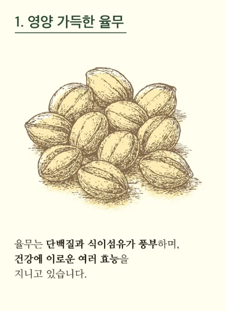 오색다원 건강지킴이 전통차 4종 18개입