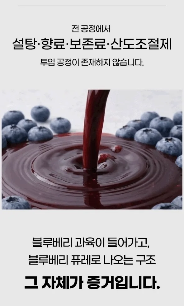 시너지엔 블루베리 퓨레 100