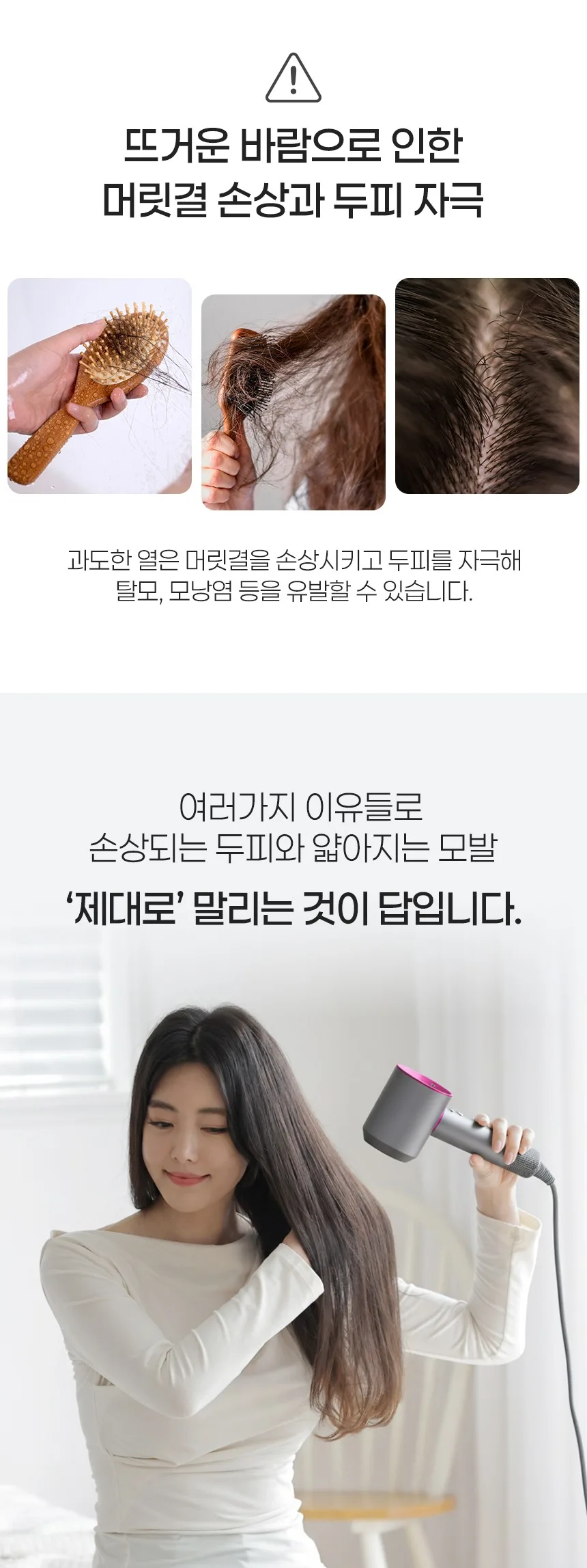 상품코드 : BE022 [벤하임] BLDC 제트 드라이어 퍼플 001DBK (카톤발주용))