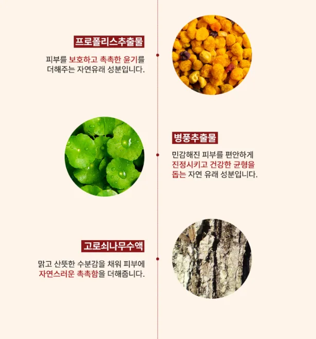 상품코드 : BSH008 빅슘 마그네슘 스프레이 120ml
