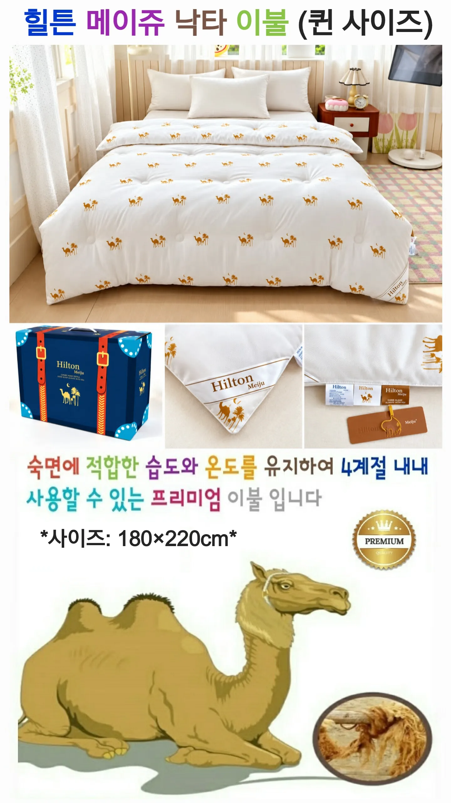 KakaoTalk_20261002_125315727.jpg