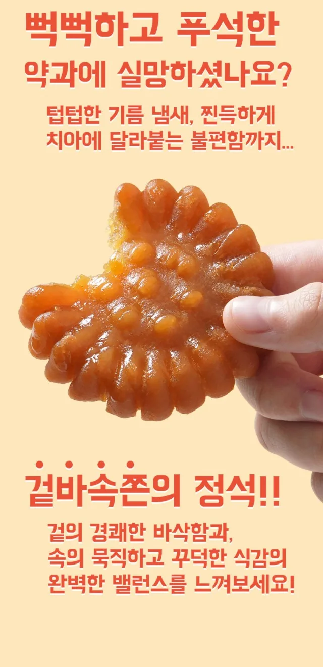 신씨네_사진_20261005_6.png